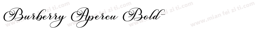 Burberry Apercu Bold字体转换